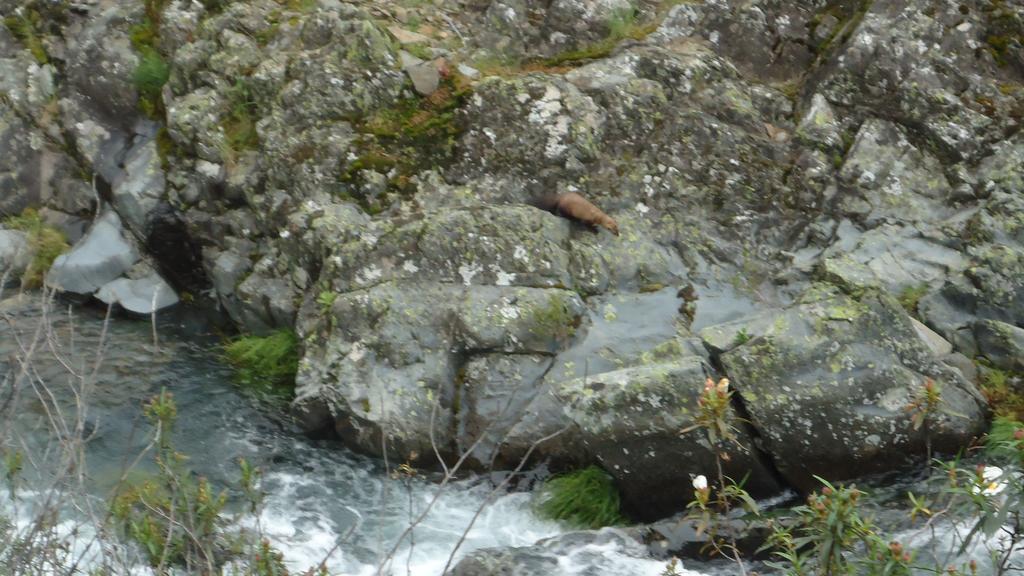 Casas Rurales El Caminante Aldeanueva del Camino Εξωτερικό φωτογραφία