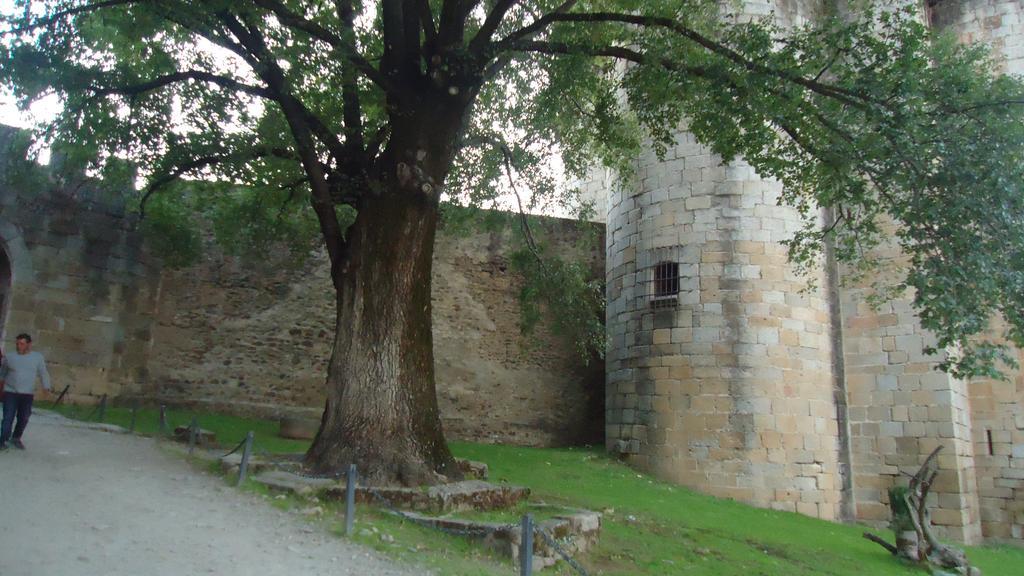 Casas Rurales El Caminante Aldeanueva del Camino Εξωτερικό φωτογραφία